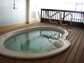 Snowblaze Resort & Athletic Club - Image 3