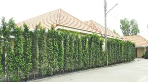 Arena Resort - Image 5