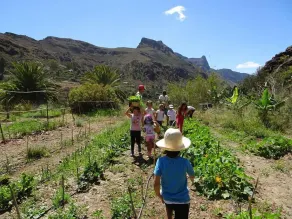 EcoTara Canary Islands - Image 5