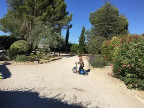 Zocalo Ranch - Image 2