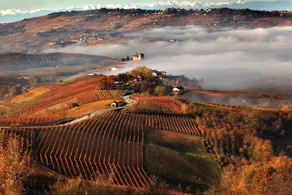 LA CASCINA DI CARLOTTA 1846 agriturismo - Image 4