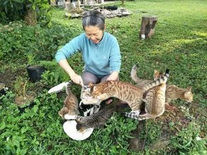 Doris B&B - Image 2