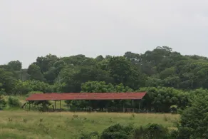 Hacienda Doña Carmen - Image 2
