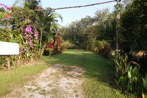 Noks Garden Resort - Image 2