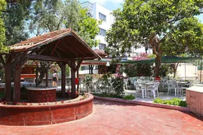 Alevok - Image 5