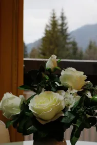 Axo Studio - Image 5