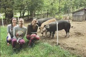 Vermont Grand View Farm - Image 4