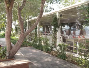 Eviana Beach - Image 3