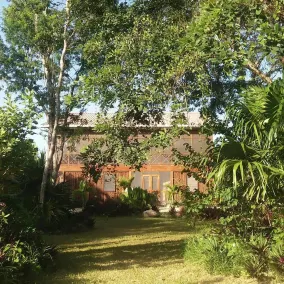 Serenity Retreats Belize -A Vegan Resort - Image 5