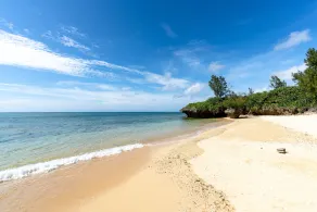 Island Breeze - Image 3