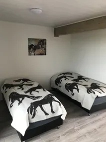 Sólvangur Farm, Icelandic Horse Center - Image 2