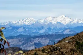 Whispering Pines Himalayan Retreat - Image 3