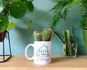 Green Home - Image 5