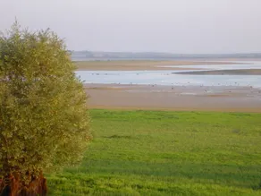 La Roulotte Des Elfes - Image 5