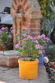 Mursel Pansiyon Garden Hotel - Image 4