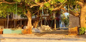 Ilaa Beach Maldives - Image 4