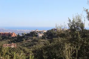 Luxury Villa Near Marbella - Image 4