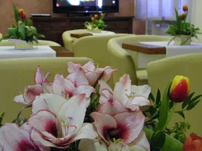 Hotel Maria - Image 2