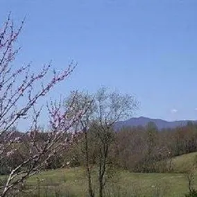 Belle Meade Bed and Breakfast - Image 3