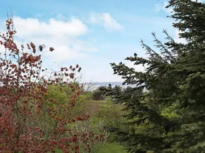 4 Person Holiday Home in Logstor - Image 4