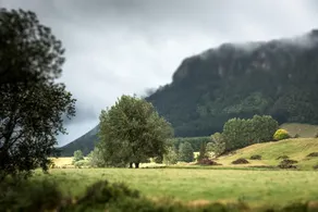 Astelia Lodge - Image 5