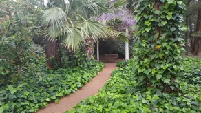 Australian Skies Chalets and Gardens - Image 2