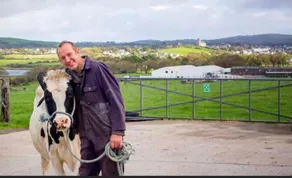 The Cuddly Cow - Image 5