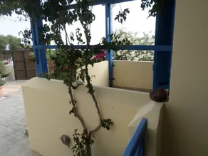 Santorious Apartments - Image 5