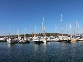 Oak - Image 4