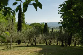 Villa Degli Ulivi - Image 2