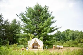 Tentrr - Clove Valley Creek -  Campsite - Image 4