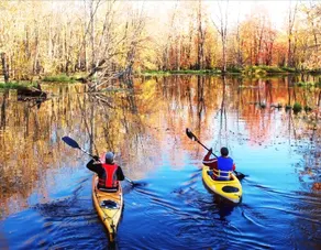 Cedars of Lake Eugenia - Cottage Resort - Image 5
