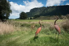 Astelia Lodge - Image 4