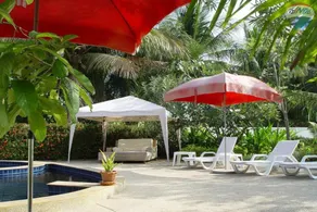 Swiss Orchid Private Bungalow Resort - Image 3