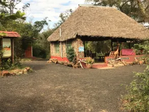 Maasai Simba Camp - Image 5