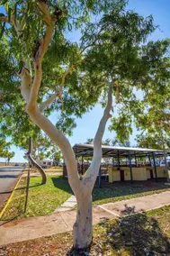 Balmoral Karratha Holiday & Caravan Park - Image 4