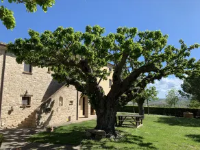 Agriturismo I Mori - Image 5