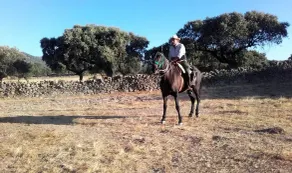 Finca Las Gamitas - Image 2