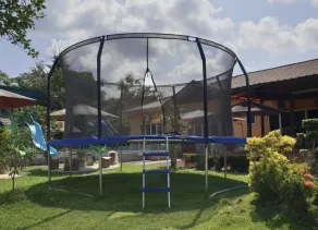 Happy Paradise - Image 5