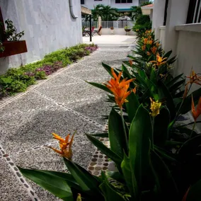 HM Hotel Marian - Image 2