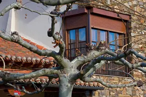 Valle Del Eria Hotel - Image 5