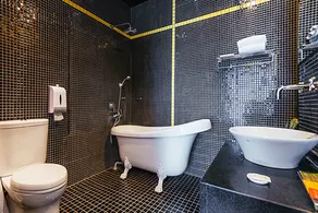 Dufa Luxury Manor - Image 2