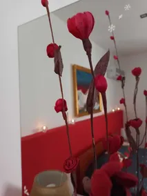 B&B Omer - Image 5