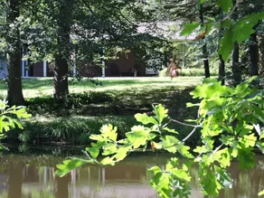 Peaceful Country Living Pet Friendly - Image 3
