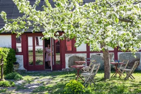 STF Vandrarhem Brantevik - Image 3
