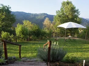Adorable Holiday Home in Santa Lucia With Swimming Pool - Image 2