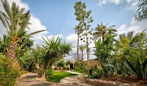All Green House - Image 5