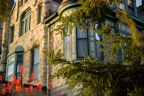 Castle La Crosse - Image 3