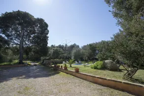 Finca Son Felip El Arenal - Image 3
