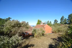 La Podona - Image 2